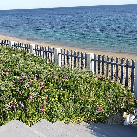 Σπίτι διακοπών Anemos Seaside House Σκύρος