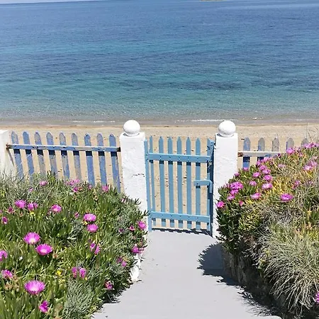 Дом отдыха Anemos Seaside House Скирос